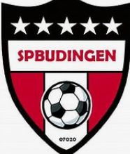 Logo thuisploeg